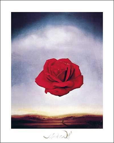 Kunstdruck 40x50 cm: Meditative Rose, Dali Salvador