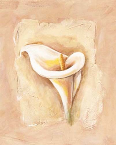 Blumen, Kalla