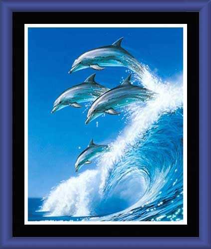 Wandbild 60x70 cm: Out of the Blue – Delfine reiten auf Welle