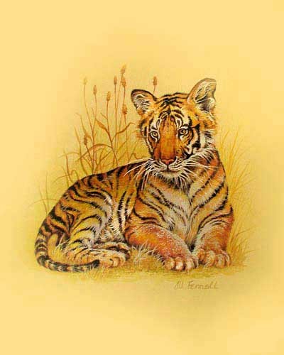 Kleiner Tiger in Gold von M. Fennell Alu Bild 43x54 cm