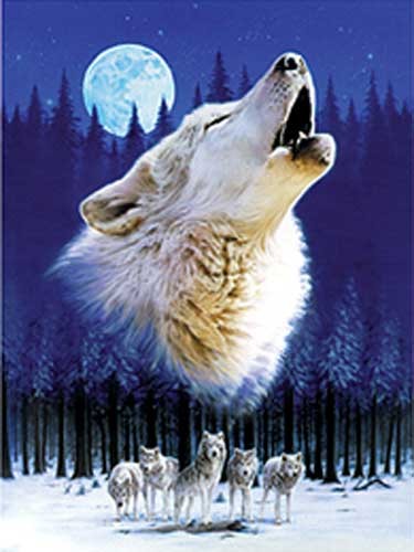 Dufex Alu Postkarte 10x15 cm: Howling Wolf (Wölfe)