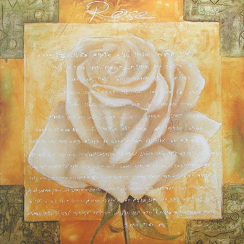Rose von Avigdori Kunstdruck