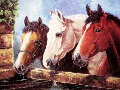 Drei Pferde an der Tränke Dufex Alubild 16x21 cm