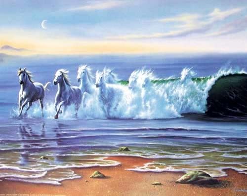 Zwei Pferde, Wildes Wasser von Jim Warren Poster 40x50 cm