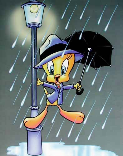 Tweety und Laterne Poster 40x50