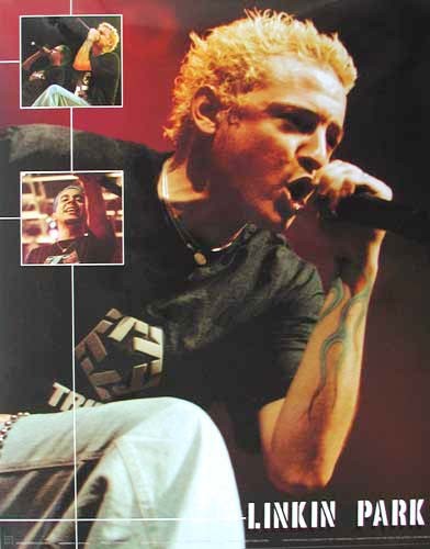 Linkin Park, On Stage (laminiert) *
