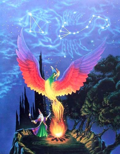 Poster 40x50 cm: Phoenix Forest Sternzeichen Waage Krebs, Sue Dawe