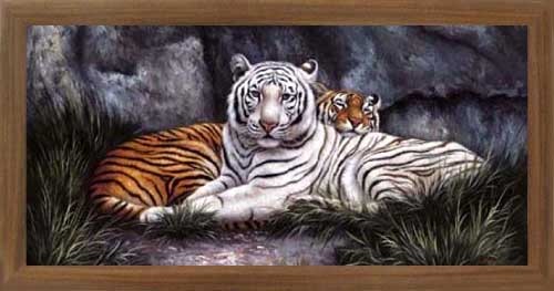 Weißer und gelber Tiger Wandbild 40x77 cm