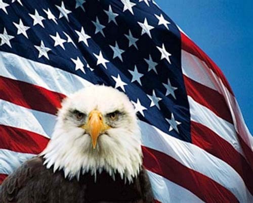 Seeadler und USA Fahne Poster