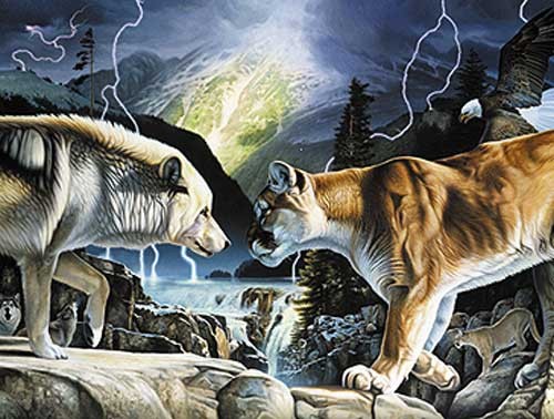 Wolf und Puma Dufex Alu Bild 16x21 cm