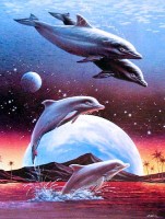Dufex Alu Bild Leaping Dolphins, Alan Metz Dufex Alu Bild Leaping Dolphins, Alan Metz
