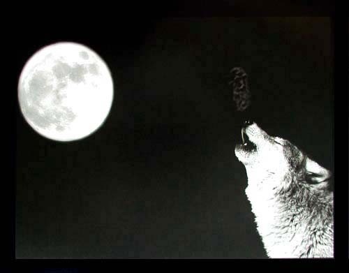 Poster schwarz-weiß: Wolf und Vollmond