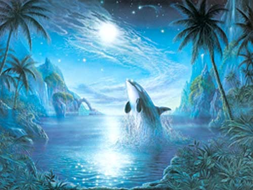 Orca, Nach dem Mond greifen - Poster im Großformat