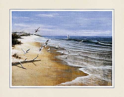 Einsamer Strand von Chiu Kunstdruck 40x50 cm
