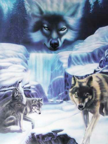 Mystic Wolf Fantasie Poster 40x50 cm