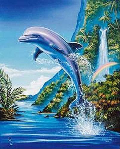 Springender Delphin und Regenbogen, Poster