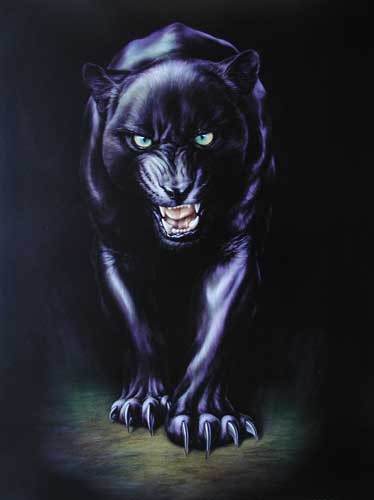 Black Panther Meiklejohn Graphics Poster 40x50 cm