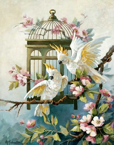 Zwei Papagaien auf Apfelzweig Kunstdruck 56x71 cm