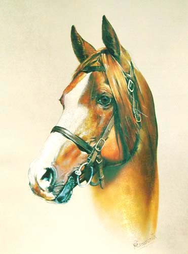 Pferdeportrait von Greensmith Dufex Alubild 16x21 cm