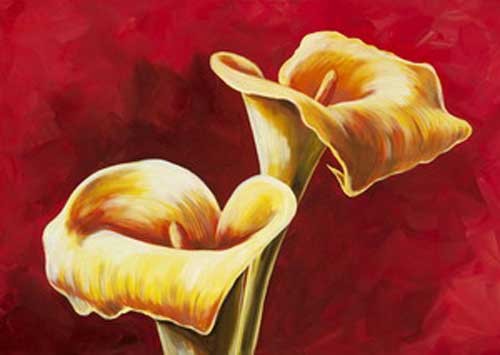 2 Calla Blumen auf dunkelrotem Hintergrund Kunstdruck 50x70 cm