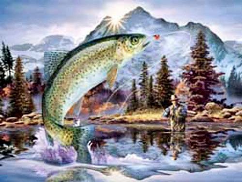 Angler, Rainbow Trout