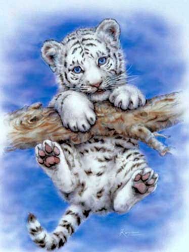 Weißer Tiger, Erstes Abenteuer von Kayomi Harai - Dufex Alubild 16x21 cm