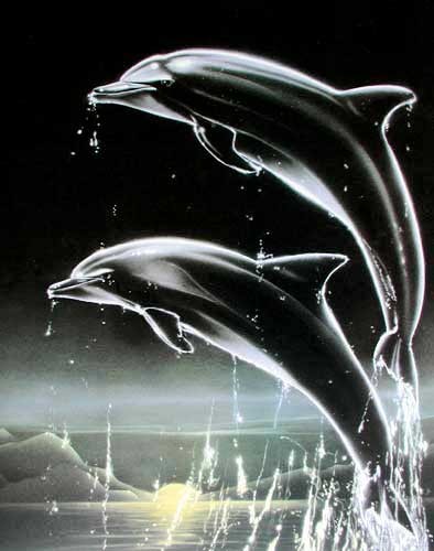 Zwei Delfine im schwarzen Sonnenuntergang von H. Villieres Poster